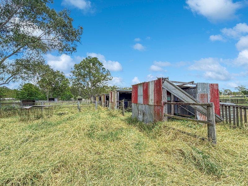 Photo - 526 Haigslea Amberley Road, Walloon QLD 4306 - Image 24