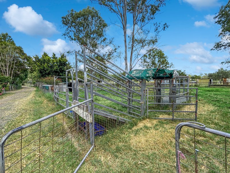 Photo - 526 Haigslea Amberley Road, Walloon QLD 4306 - Image 25