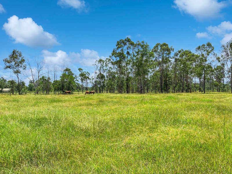 Photo - 526 Haigslea Amberley Road, Walloon QLD 4306 - Image 26