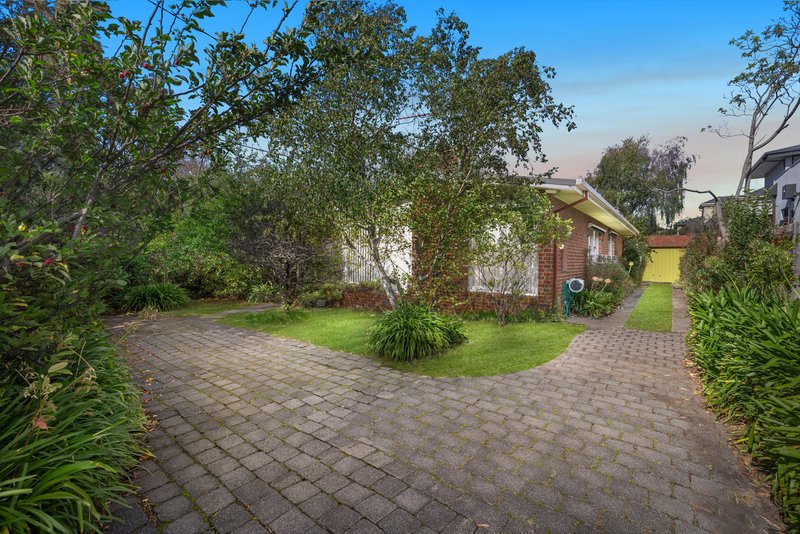 Photo - 526 High Street Road, Mount Waverley VIC 3149 - Image 4