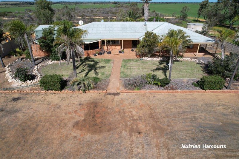 Photo - 527 Telegraph Road, West Binnu WA 6532 - Image 12