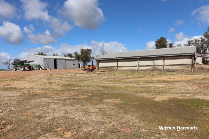 Photo - 527 Telegraph Road, West Binnu WA 6532 - Image 17