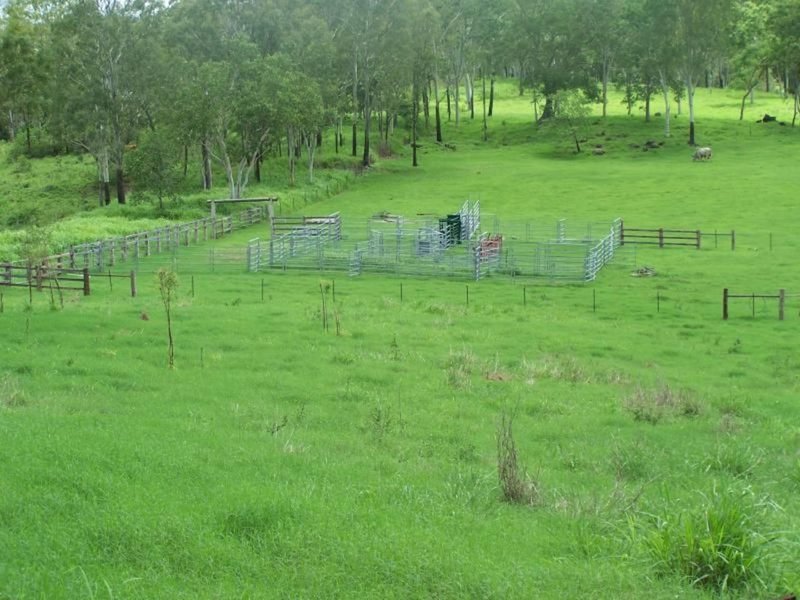 Photo - 528 Barron Pocket Road, Calen QLD 4798 - Image 3