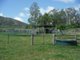 Photo - 528 Barron Pocket Road, Calen QLD 4798 - Image 13