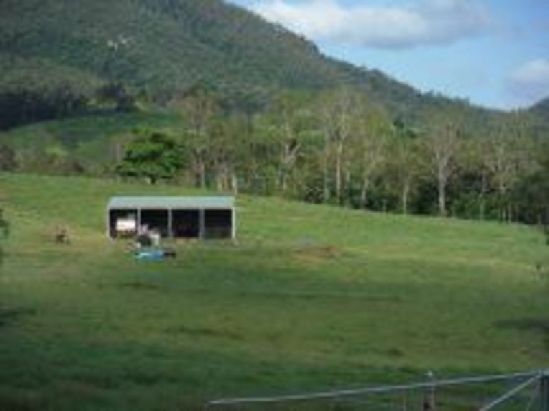 Photo - 528 Barron Pocket Road, Calen QLD 4798 - Image 14