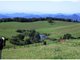 Photo - 5287 Waterfall Way, Dorrigo NSW 2453 - Image 6