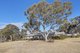 Photo - 529 Carrick Road, Goulburn NSW 2580 - Image 1