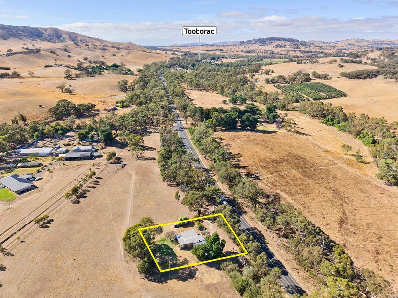 Photo - 5290 Northern Highway, Tooborac VIC 3522 - Image 18