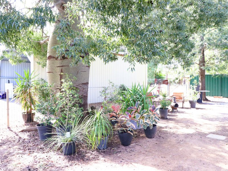 Photo - 53 Alexander Street, Surat QLD 4417 - Image 25