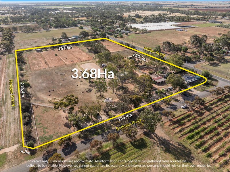 53 Badman Street, Hillier SA 5116