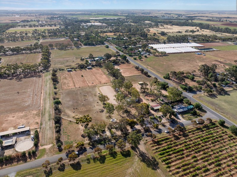 Photo - 53 Badman Street, Hillier SA 5116 - Image 4