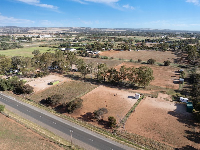Photo - 53 Badman Street, Hillier SA 5116 - Image 5