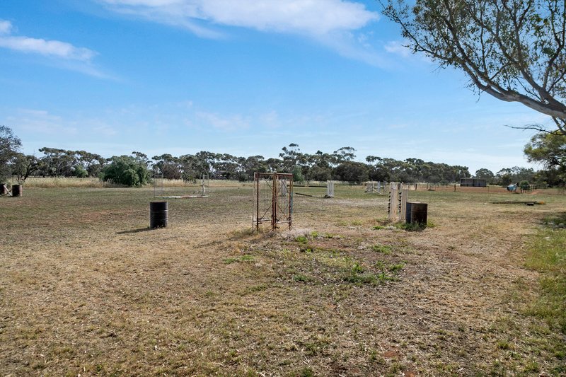 Photo - 53 Badman Street, Hillier SA 5116 - Image 9