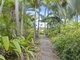 Photo - 53 Bibimulya Street, Bellara QLD 4507 - Image 6