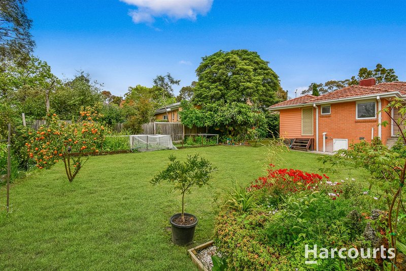 Photo - 53 Boronia Road, Vermont VIC 3133 - Image 14