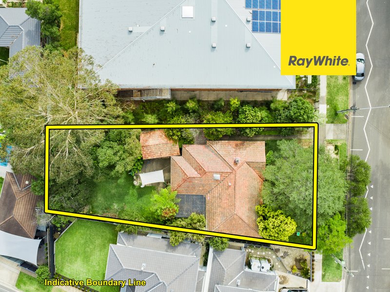 Photo - 53 Brabyn Street, Denistone East NSW 2112 - Image 3