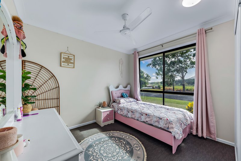 Photo - 53 Camm Road, Mount Julian QLD 4800 - Image 11