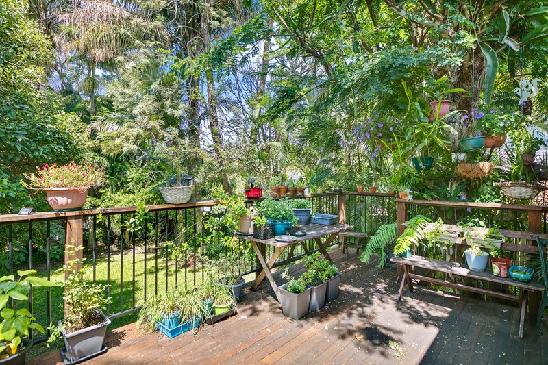 Photo - 53 Centenary Crescent, Maroochydore QLD 4558 - Image 12