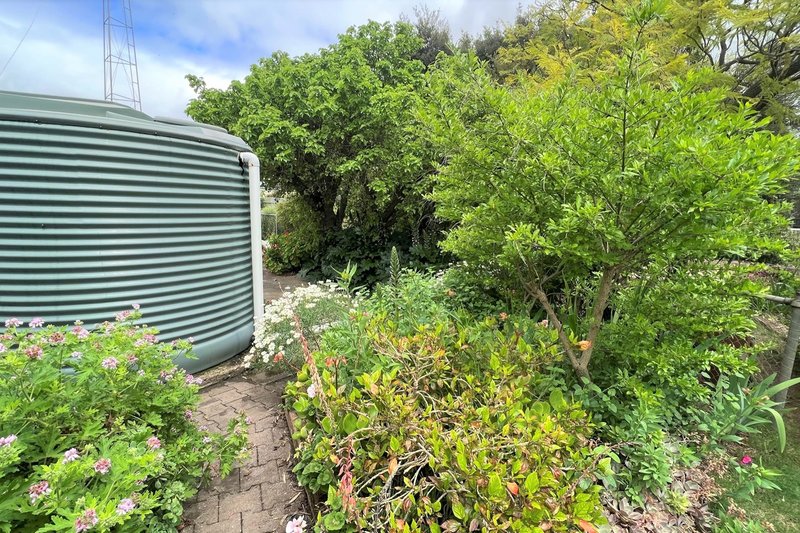 Photo - 53 Chandos Terrace, Lameroo SA 5302 - Image 18