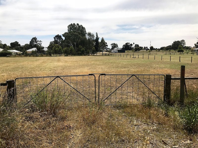 Photo - 53 Cockatoo Lane, Cockatoo Valley SA 5351 - Image 6