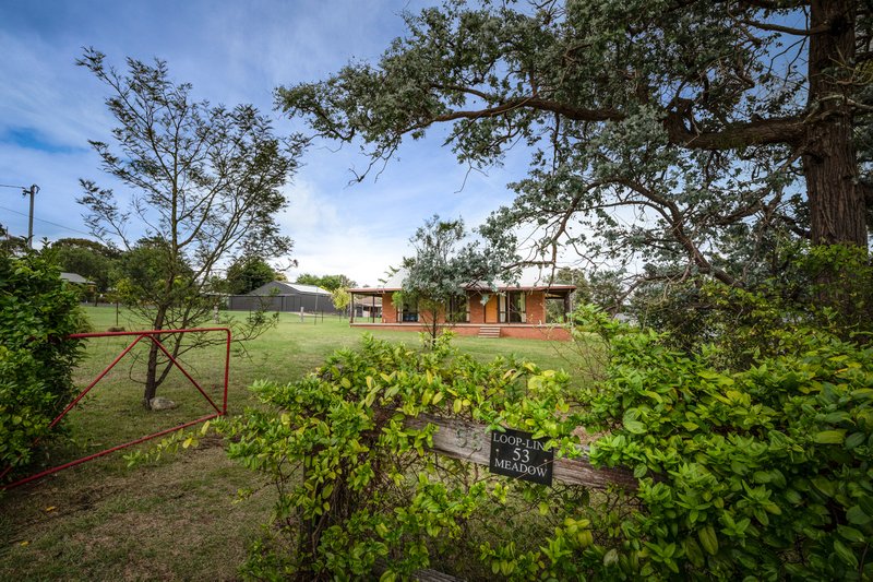 Photo - 53 Darley Street, Thirlmere NSW 2572 - Image 13