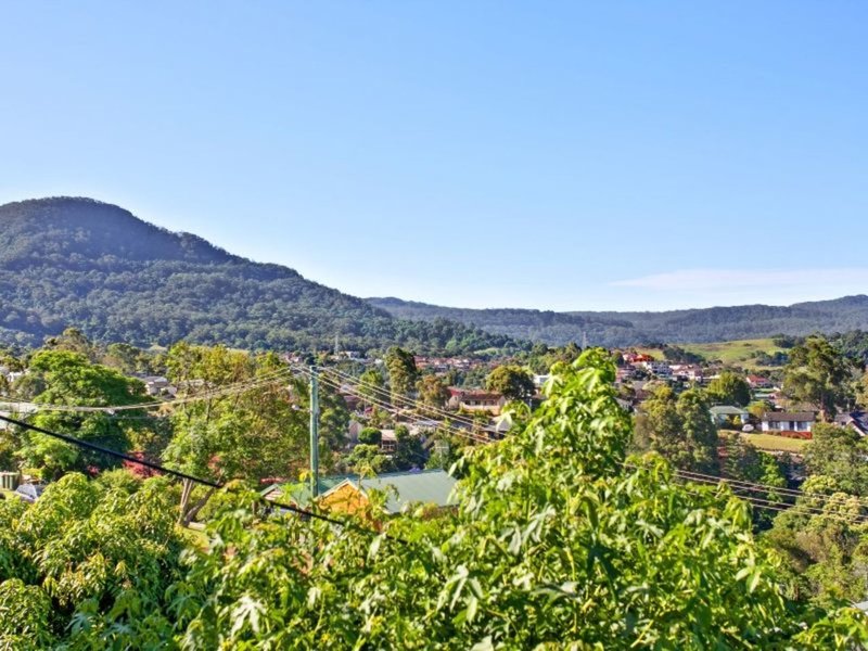 Photo - 53 Iola Avenue, Farmborough Heights NSW 2526 - Image 1