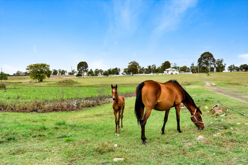 Photo - 53 Jensens Swamp Road, Tarampa QLD 4311 - Image 17