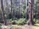 Photo - 53 Knights Creek Road, Murrah NSW 2546 - Image 11