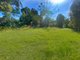 Photo - 53 Landsborough - Maleny Road, Landsborough QLD 4550 - Image 1