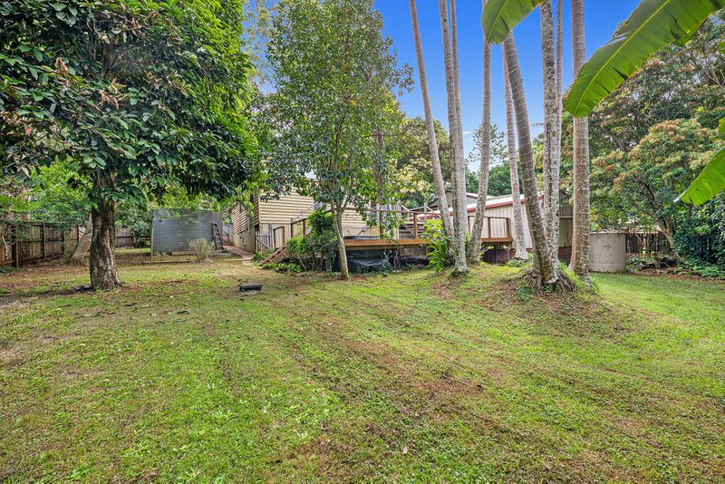 Photo - 53 Macdonnell Road, Tamborine Mountain QLD 4272 - Image 15