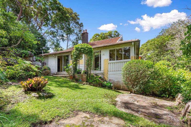 Photo - 53 Martin Street, Freshwater NSW 2096 - Image 3