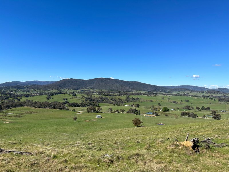 53 Mcclellands Lane, Tumbarumba NSW 2653