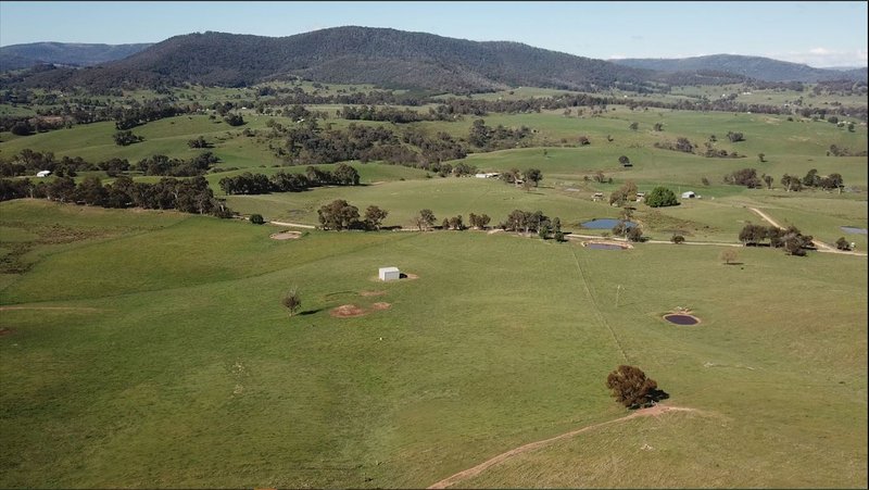 Photo - 53 Mcclellands Lane, Tumbarumba NSW 2653 - Image 2