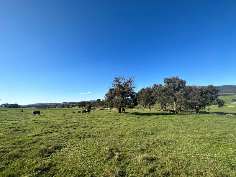 Photo - 53 Mcclellands Lane, Tumbarumba NSW 2653 - Image 7