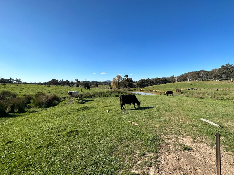 Photo - 53 Mcclellands Lane, Tumbarumba NSW 2653 - Image 11