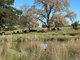 Photo - 53 Mcclellands Lane, Tumbarumba NSW 2653 - Image 15