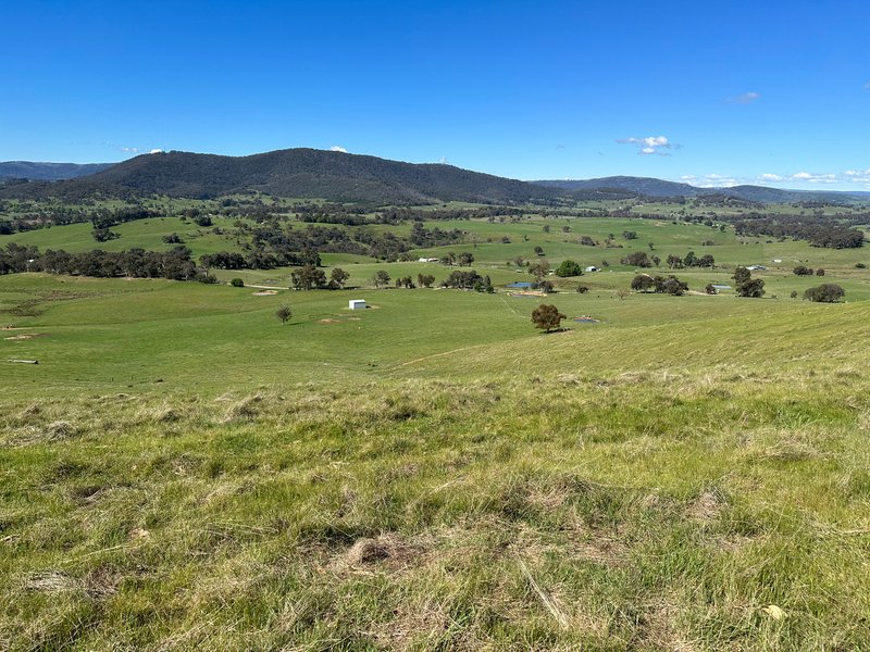 Photo - 53 Mcclellands Lane, Tumbarumba NSW 2653 - Image 21