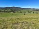 Photo - 53 Mcclellands Lane, Tumbarumba NSW 2653 - Image 21