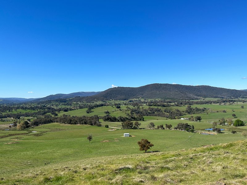 Photo - 53 Mcclellands Lane, Tumbarumba NSW 2653 - Image 22