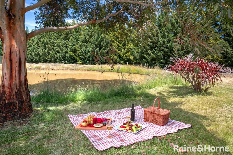 Photo - 53 Meadow Brook Way, Riddells Creek VIC 3431 - Image 18