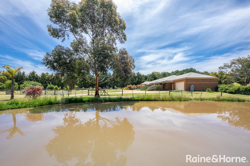 Photo - 53 Meadow Brook Way, Riddells Creek VIC 3431 - Image 19