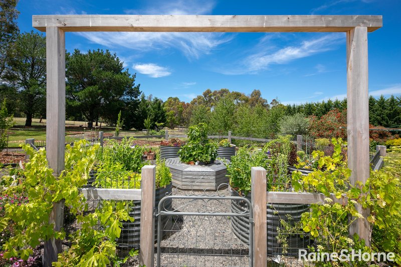 Photo - 53 Meadow Brook Way, Riddells Creek VIC 3431 - Image 26