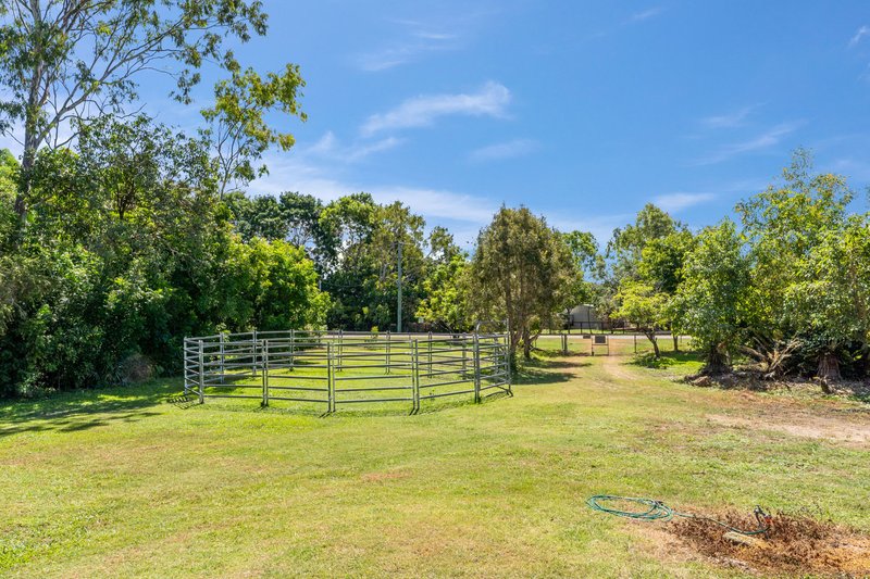 Photo - 53 Melrose Crescent, Kelso QLD 4815 - Image 20