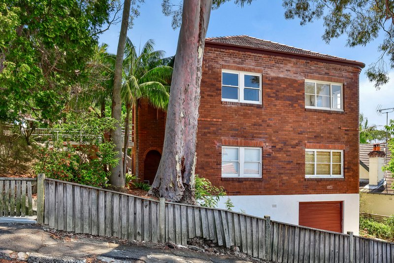 Photo - 53 Pine Street, Cammeray NSW 2062 - Image 5