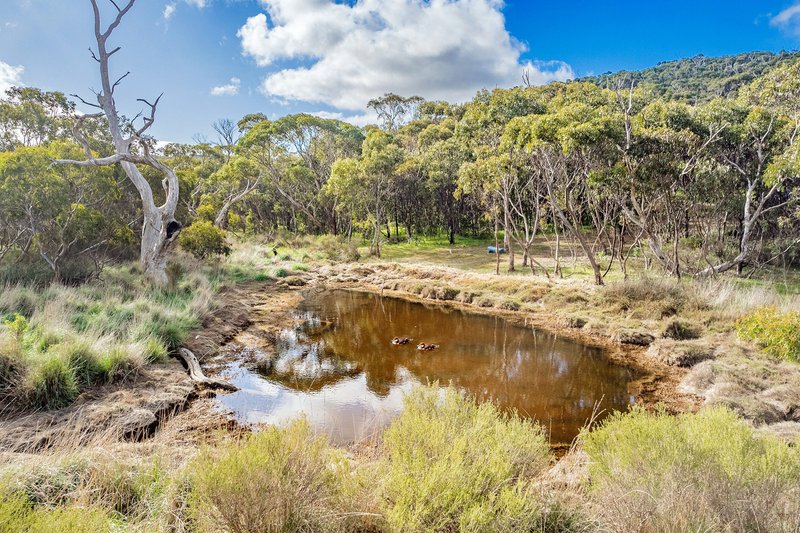 Photo - 53 Pope Drive, Charlton Gully SA 5607 - Image 7