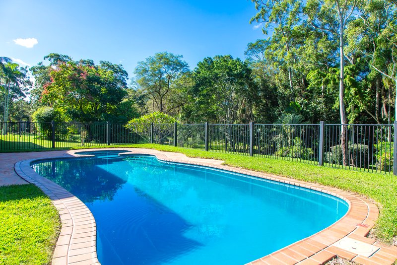 Photo - 53 River Gum Drive, Diddillibah QLD 4559 - Image 10