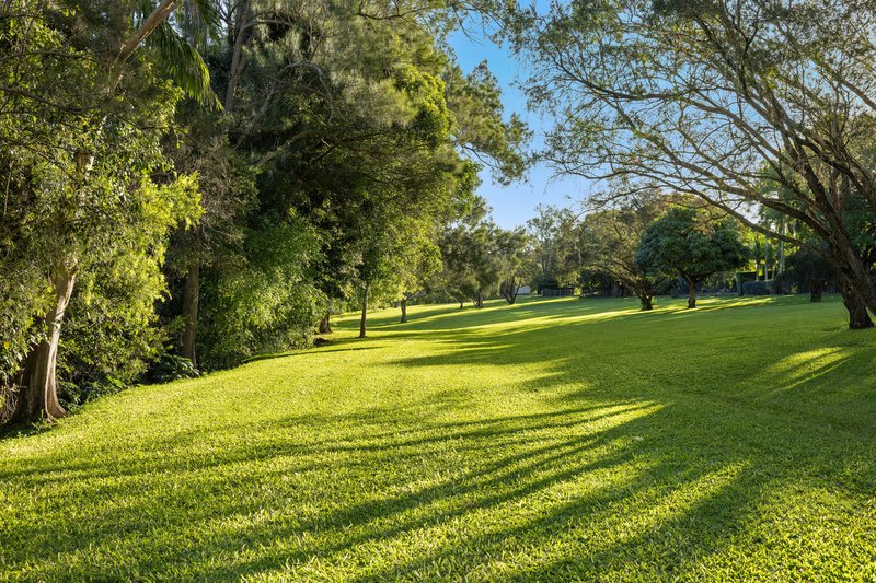 Photo - 53 Riverlea Waters Drive, Nerang QLD 4211 - Image 19