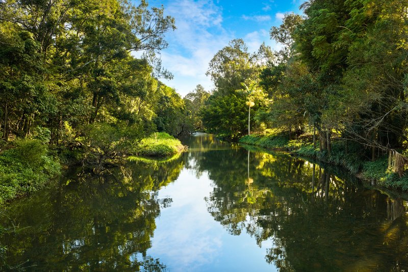 Photo - 53 Riverlea Waters Drive, Nerang QLD 4211 - Image 20