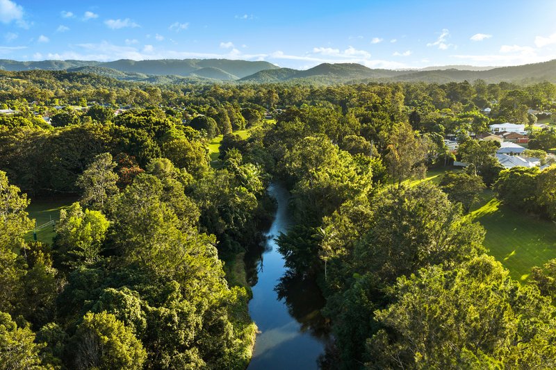 Photo - 53 Riverlea Waters Drive, Nerang QLD 4211 - Image 21