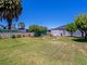 Photo - 53 Russ Avenue, Seaton SA 5023 - Image 16